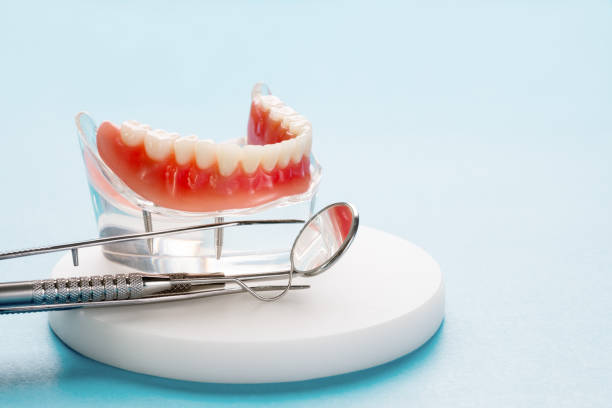 Professional Holistic Dental Care Services in Loxley, AL